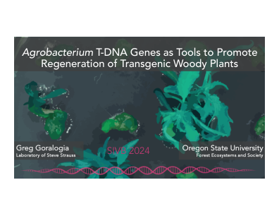 农杆菌 T-DNA 基因作为促进...的工具